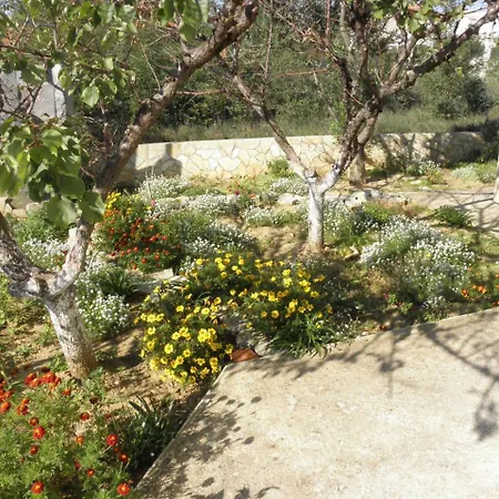 Brane - 180m To The Sea * Vrsi